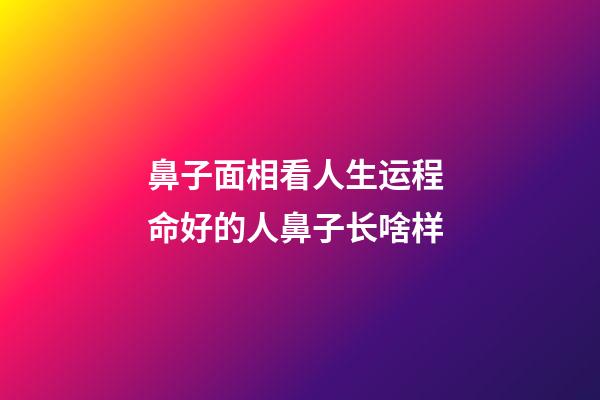 鼻子面相看人生运程 命好的人鼻子长啥样